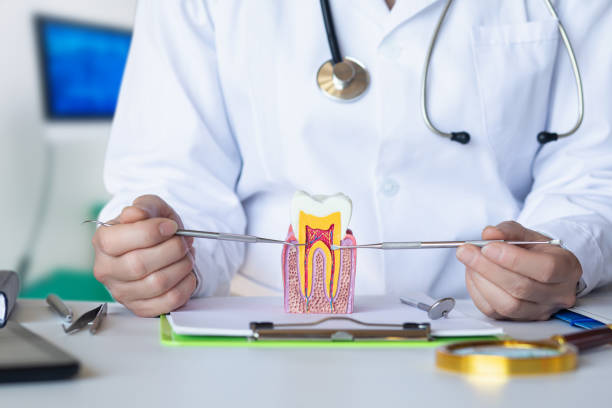 Best Broken or Cracked Tooth Emergency Dentist in Albion, NY